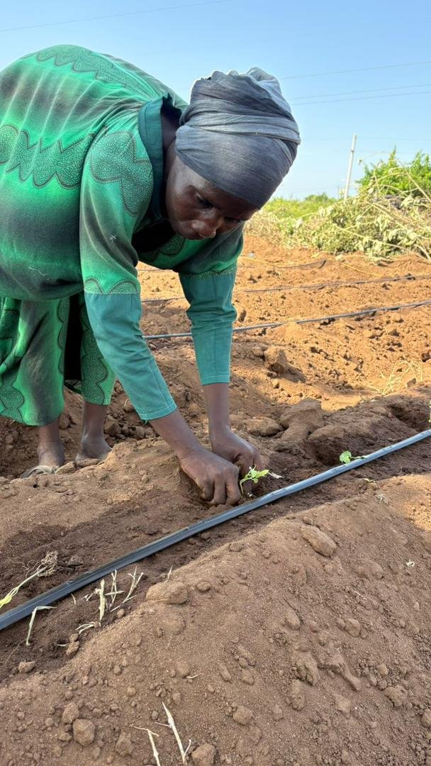 Sustainable Agriculture Initiative - Image 10